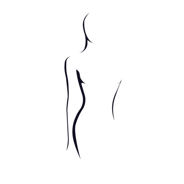 Female figure Silhouette of a woman. Vector illustration slim woman body stock illustrations