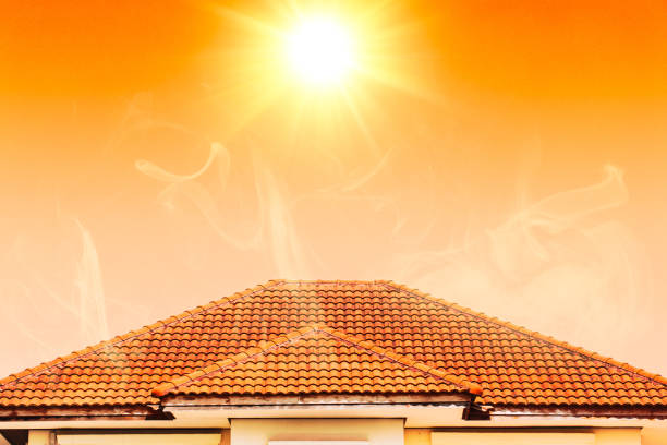 cuaca panas di musim panas memanaskan atap rumah dari matahari terbakar. - roof potret stok, foto, & gambar bebas royalti