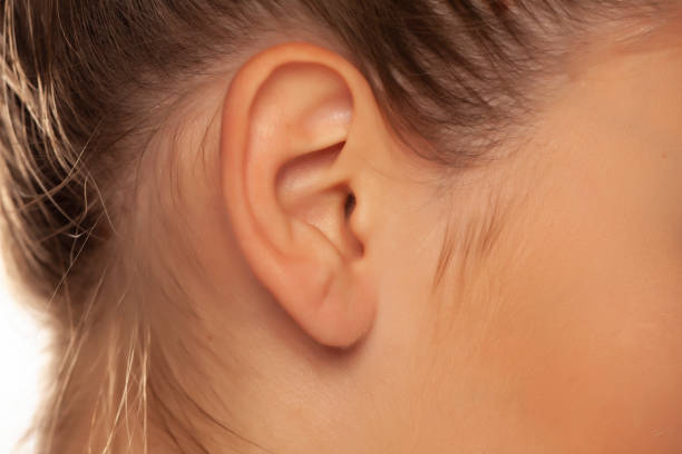 Close up of female ear Close up of female ear Earlobe stock pictures, royalty-free photos & images