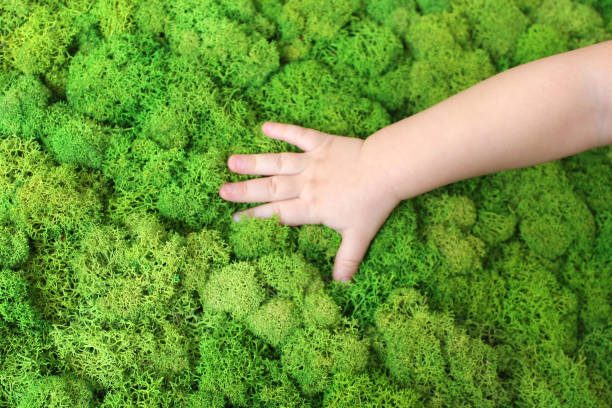 istock child hand on green moss 1194441784