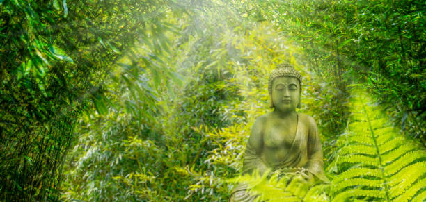 istock sunshine on buddha statue in bamboo forest 1194445539
