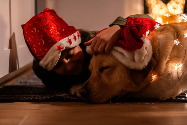 istock Little helpers for Santa Claus 1194448080