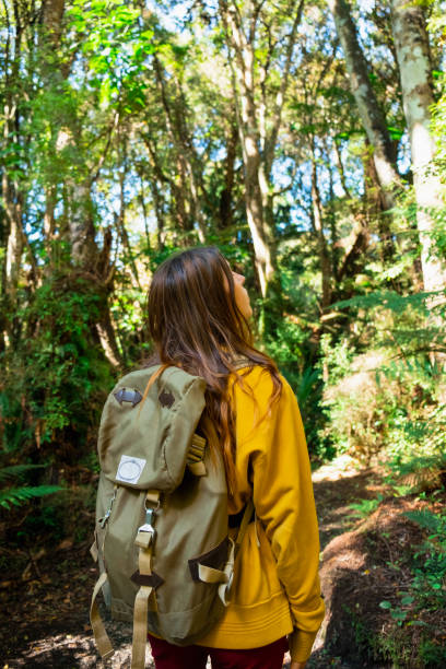 istock Discovering the Woodlands! 1194449325