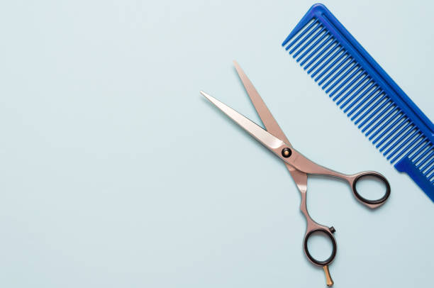 Professional stainless scissors and blue plastic hair comb on light blue background. Flat lay, top view. Copy space