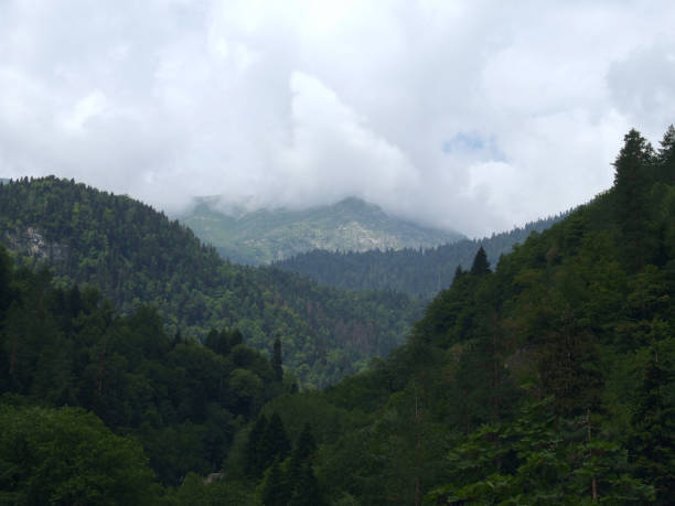 istock Mountainous terrain on a gloomy day 1194455222