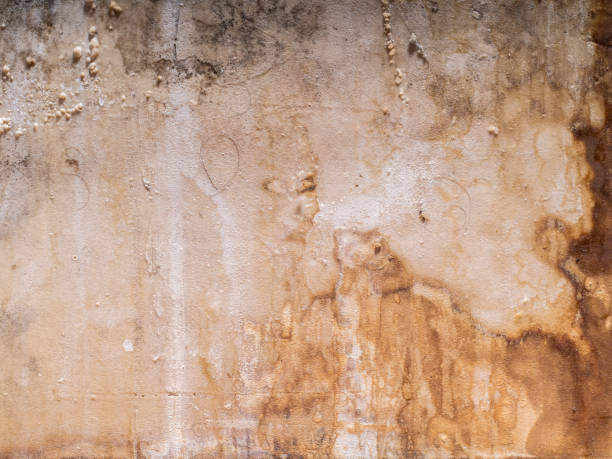 istock Abstract background old dirty sepia texture with scratches and spots 1194455528