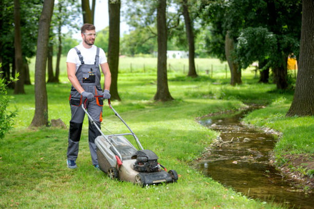 istock Lawn mower keeping grass level and height in order 1194457334