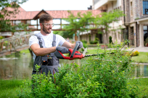 istock Gardener maintaining bushes with electric saw 1194459296