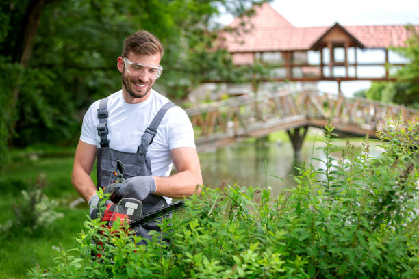istock Bush trimming with electrically powered chain saw 1194460419