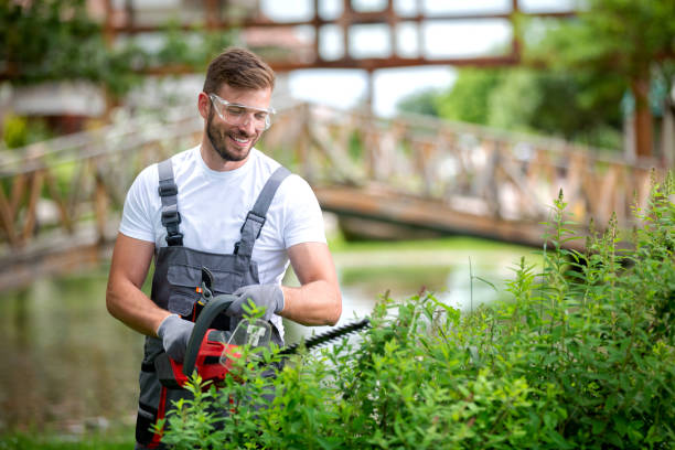 istock Handsome man dressed in gardening outfit 1194460912