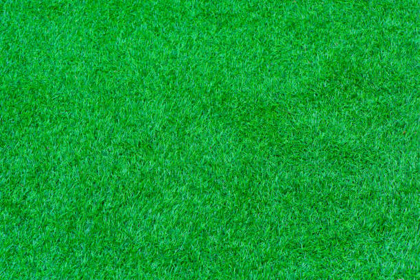 istock Green lawn grass abstract  texture on background 1194465245
