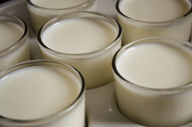istock Natural bio yogurt in the glass, creating process. 1194466000