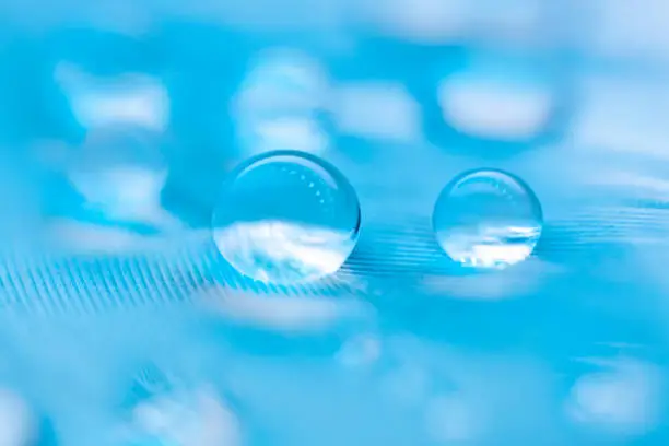 Photo of Beautiful transparent water drops or rain water on soft background. Macrophotography. Desktop background. Selective focus.