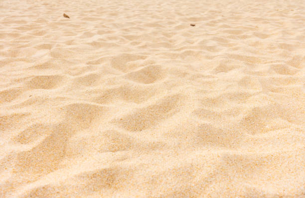 istock Beautiful full frame of beach sand texture background. 1194478182