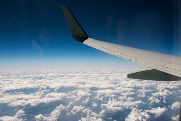 istock Airplane wing in the sky 1194478872