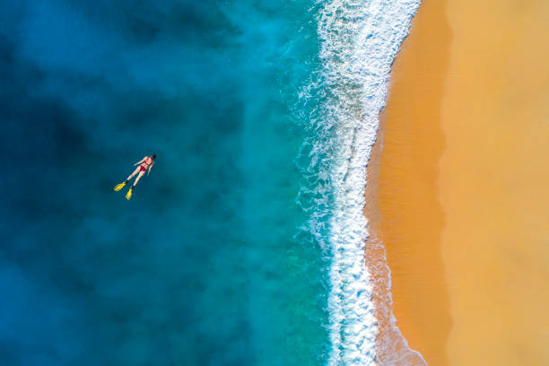 istock Snorkeling in clear turquoise sea 1194482101