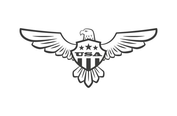 날개와 방패, 별과 텍스트독수리의 흑백 그림. - symbol military star eagle stock illustrations