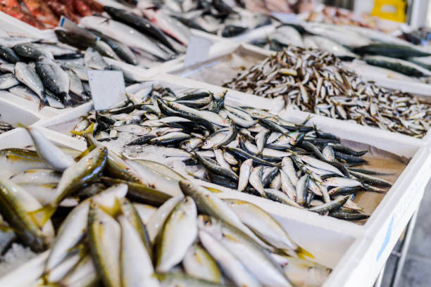 Fresh fish market. Variety of fresh fish. Outdoor market. stock photo