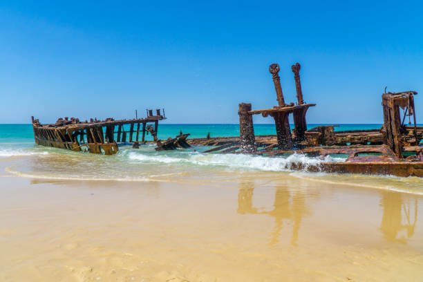 on the beach of fraser island lies the skeleton of a washed-up shipwreck in fine weather on the beach of fraser island lies the skeleton of a washed-up shipwreck in fine weather caloundra stock pictures, royalty-free photos & images
