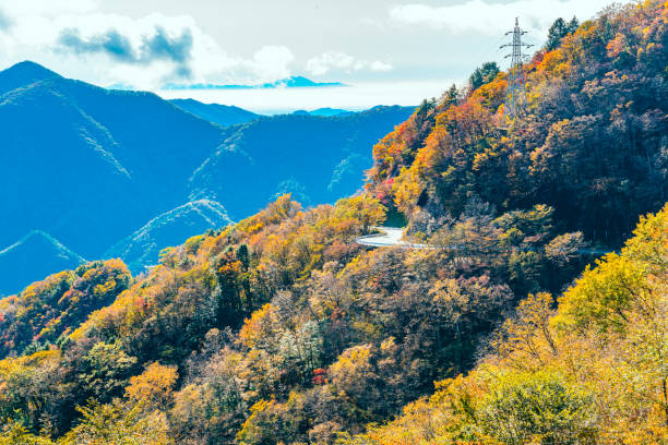View of s-curved road on the mountain in the forest of colorful foliage of autumn season in sunny day at Nikko City, Tochigi Prefecture, Japan.