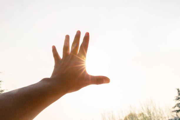 istock Yearning for light and freedom 1194483936