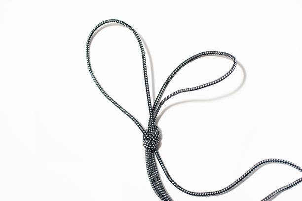 istock A bunny ears knot on white background 1194484569