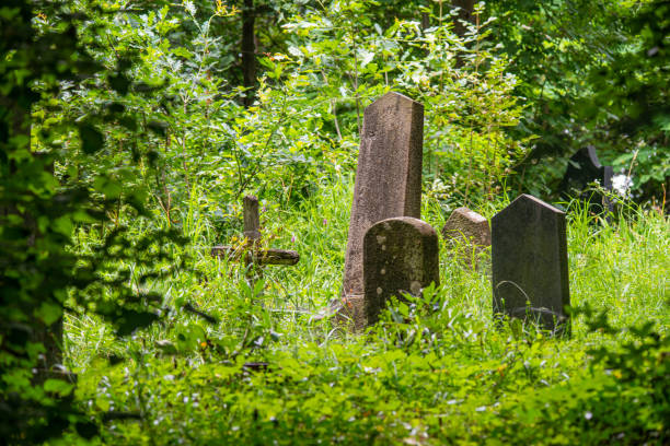 istock Cemetery containing gravestones from the 1800's 1194484735