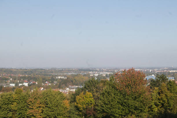 istock view to the trees in herb 1194485909