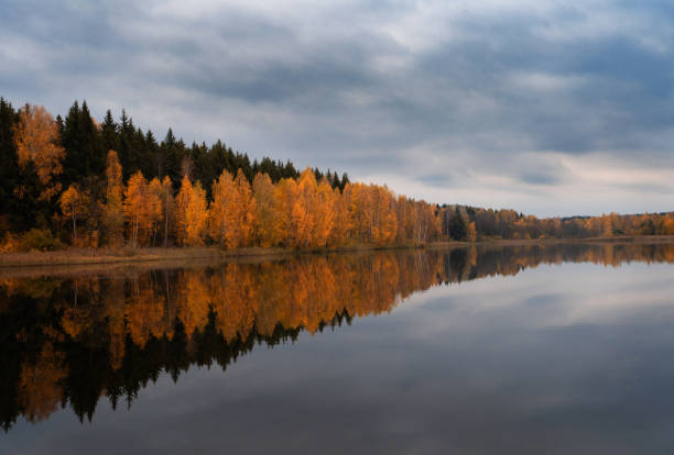 istock Autumn in the park. 1194486129