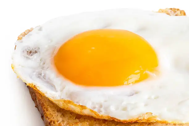 Closeup of single fried egg on wholewheat toast isolated on white.