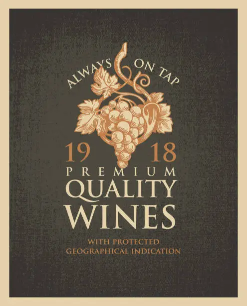 Vector illustration of Vector banner or label for winery and premium quality wines