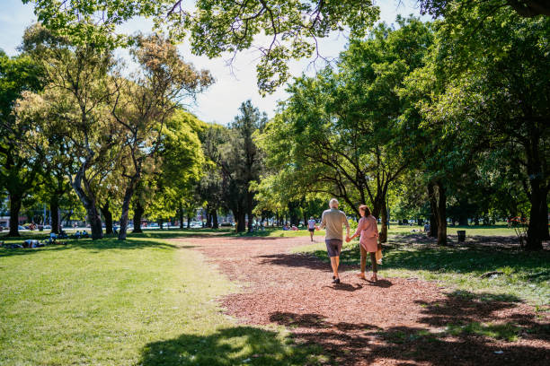 Senior couple walking in public park Senior heterosexual couple walking in public park holding hands. public park stock pictures, royalty-free photos & images