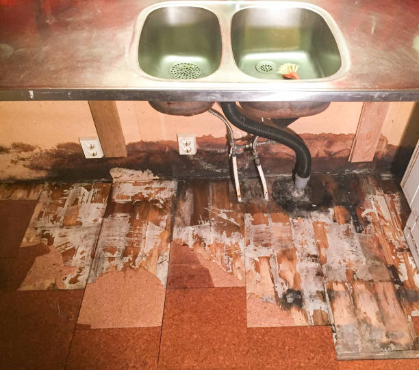 istock Water leak from the kitchensink causing damage to floor an wall with mold. 1194492447
