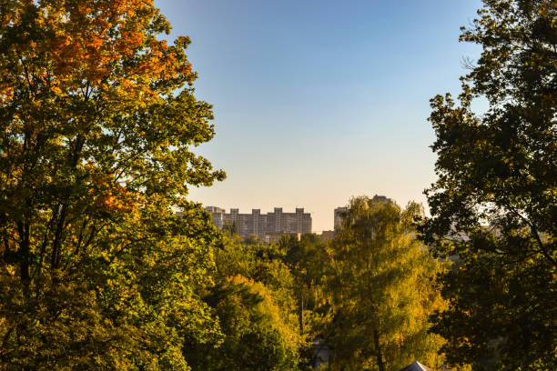 istock Trees in autumn. Autumn landscape. 1194492730