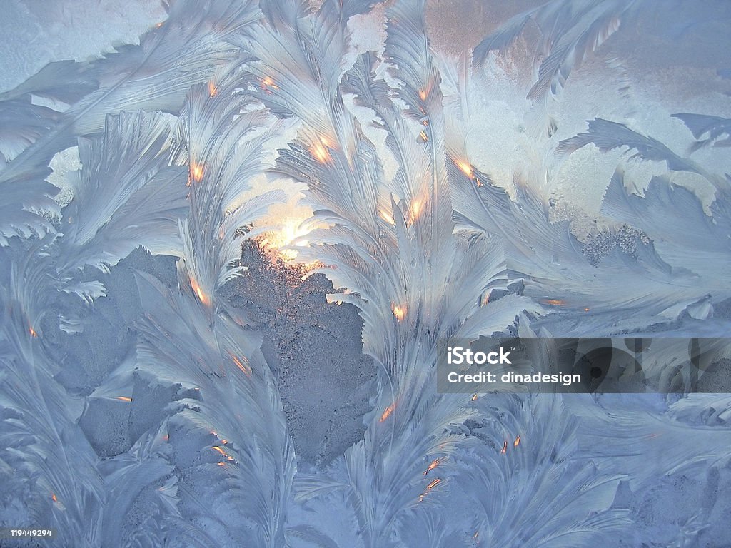 frost 및 일요일 - 로열티 프리 햇빛 스톡 사진