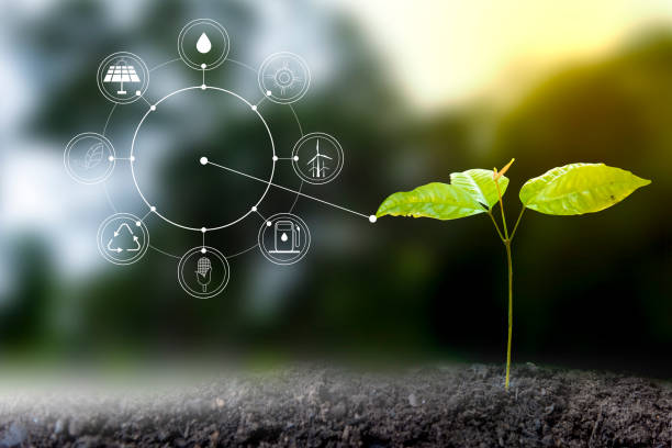 istock Renewable energy concept Earth Day or environment protection Hands protect forests that grow on the ground and help save the world. 1194493872