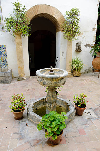 istock Palacio de Viana - Typical Andalusian patio 119449812