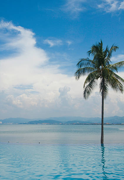 Tropical landscape stock photo