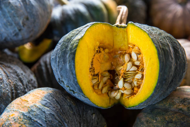 istock India, Agriculture, Autumn, Close-up, Decoration 1194498505