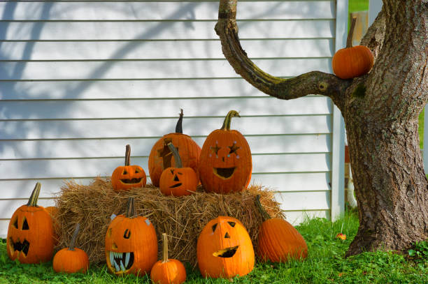 istock Carved Pumpkins on a hay bail for Halloween 1194500920