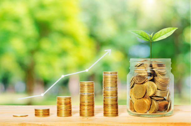 graph growth up on coin stack on wood table with plant growing against blur nature background. investment. startup. financial. saving concept for business success. wealth budgeting funding. gráfico crecimiento en pila de monedas en la mesa de madera con la planta que crece sobre el fondo de la naturaleza borrosa. inversión. inicio. financiera. concepto de ahorro para el éxito empresarial. financiación de la presupuestación de la riqueza.