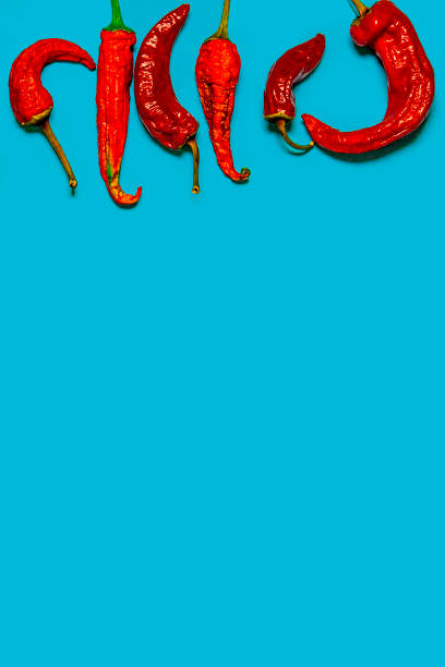 istock Dried red chili peppers lie on a multi-colored background 1194504119