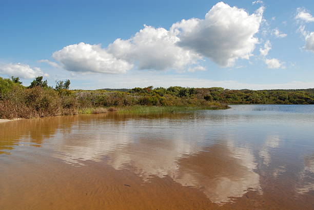  landscape along the shores of the crystal clear Lake Birrabeen on Fraser Island, Australia