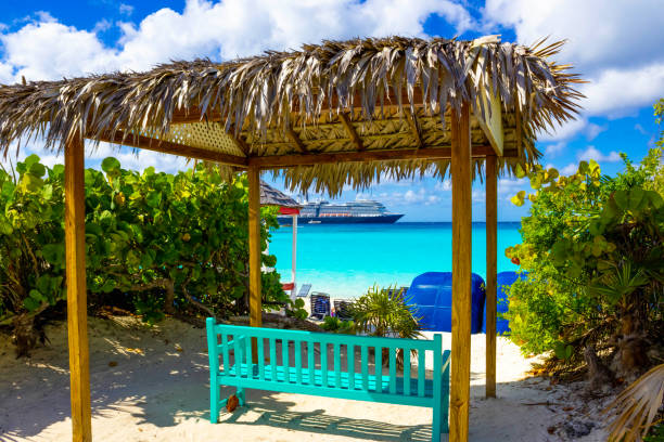 la vista della spiaggia vuota sull'isola di half moon cay alle bahamas. - beach bench caribbean sea cloudscape foto e immagini stock