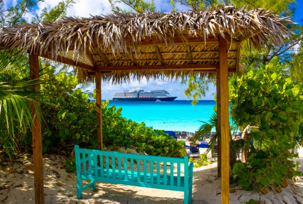 вид на пустой пляж на острове half moon cay на багамах. - beach bench caribbean sea cloudscape стоковые фото и изображения