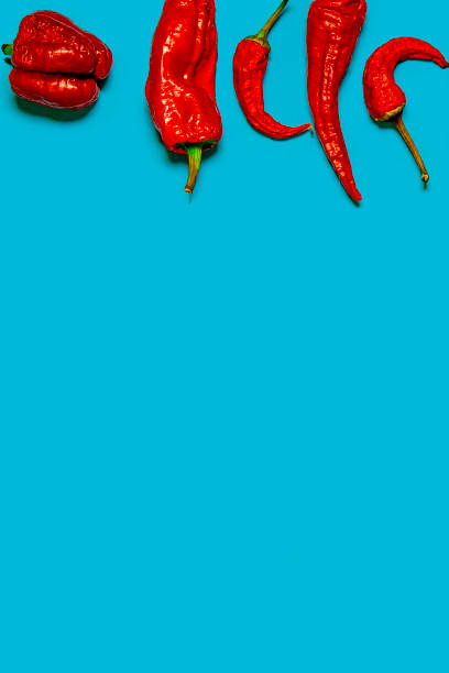 istock Dried red chili peppers lie on a multi-colored background 1194510110
