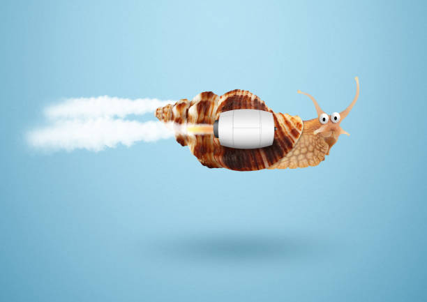 The concept of slow internet and working with a computer. Snail on the background of Internet wires and a computer mouse