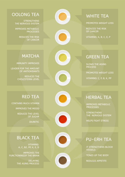 ilustrações, clipart, desenhos animados e ícones de tipos de chá: verde, branco, vermelho, matcha, preto, ervas, oolong. propriedades benéficas - tea cup tea green tea chinese tea