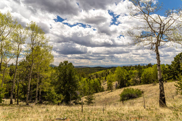 istock Summer Afternoon in Rocky Mountain Wilderness 1194512776