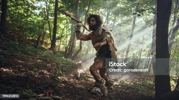 Primeval Caveman Wearing Animal Skin Holds Stone Tipped Spear Looks Around Explores Prehistoric Forest In A Hunt For Animal Prey Neanderthal Going Hunting In The Jungle Stock Photo - Download Image Now